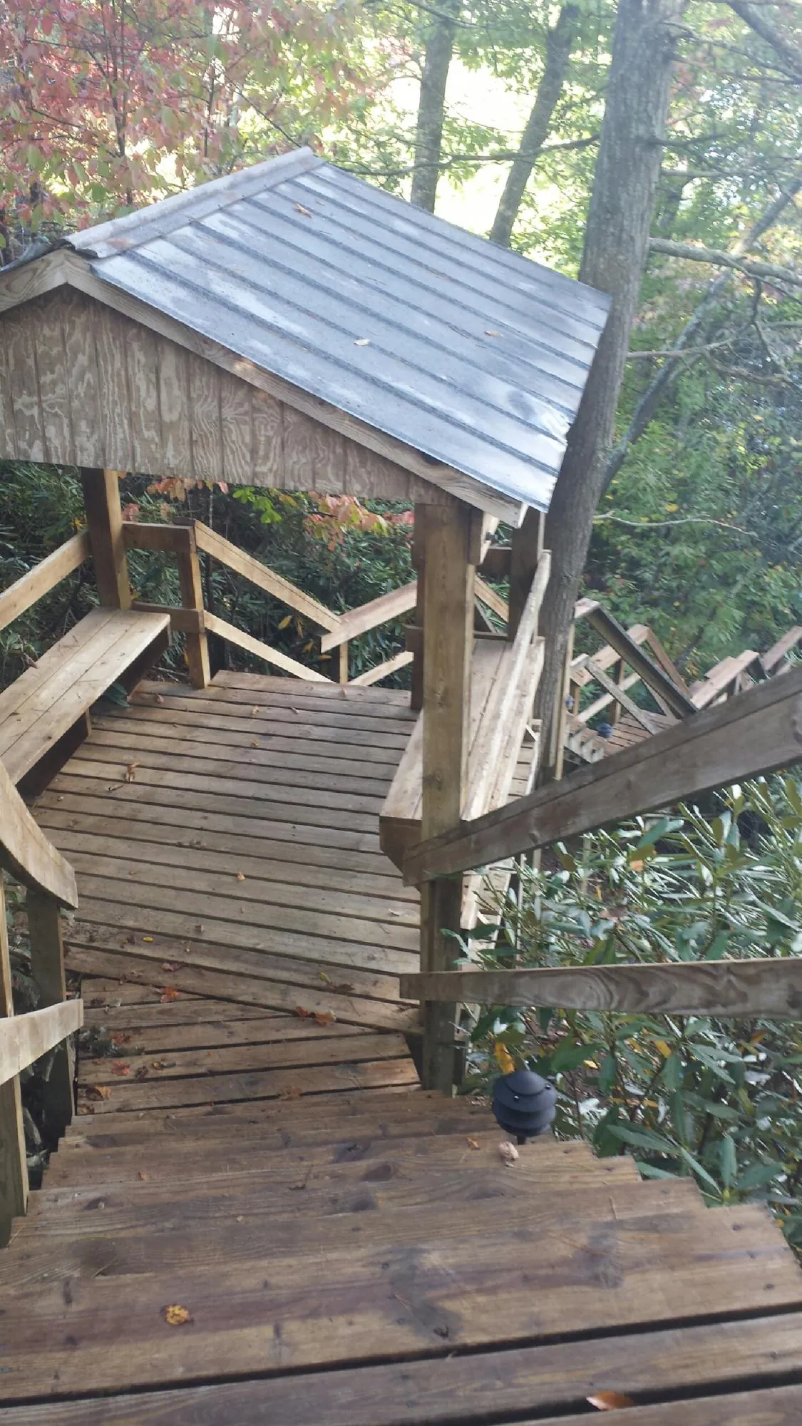 Metal roofed shelter over wooden steps on a wooded walkway — Skylight Repair & Installation work by our crew in Redmond