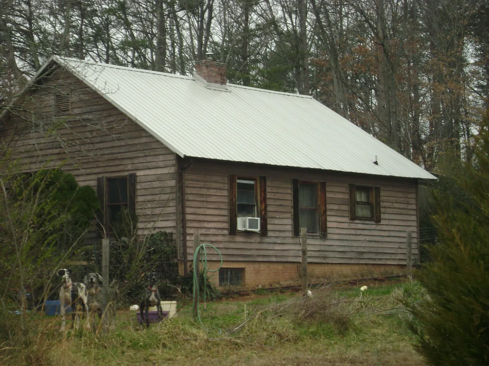 White metal roof on an old wood sided farmhouse, from a Metal Roof Installation job in Redmond